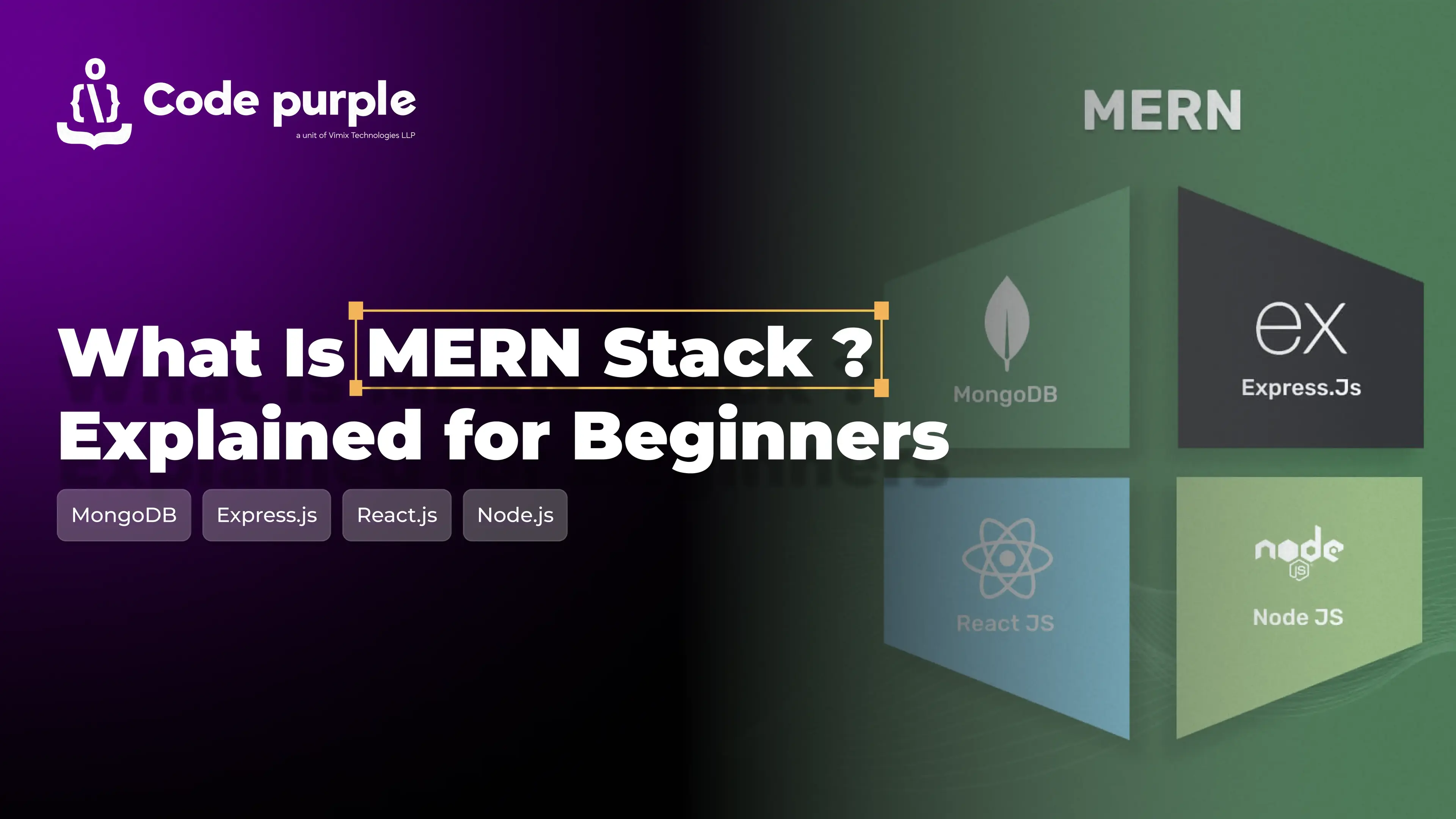 Full Stack Developers