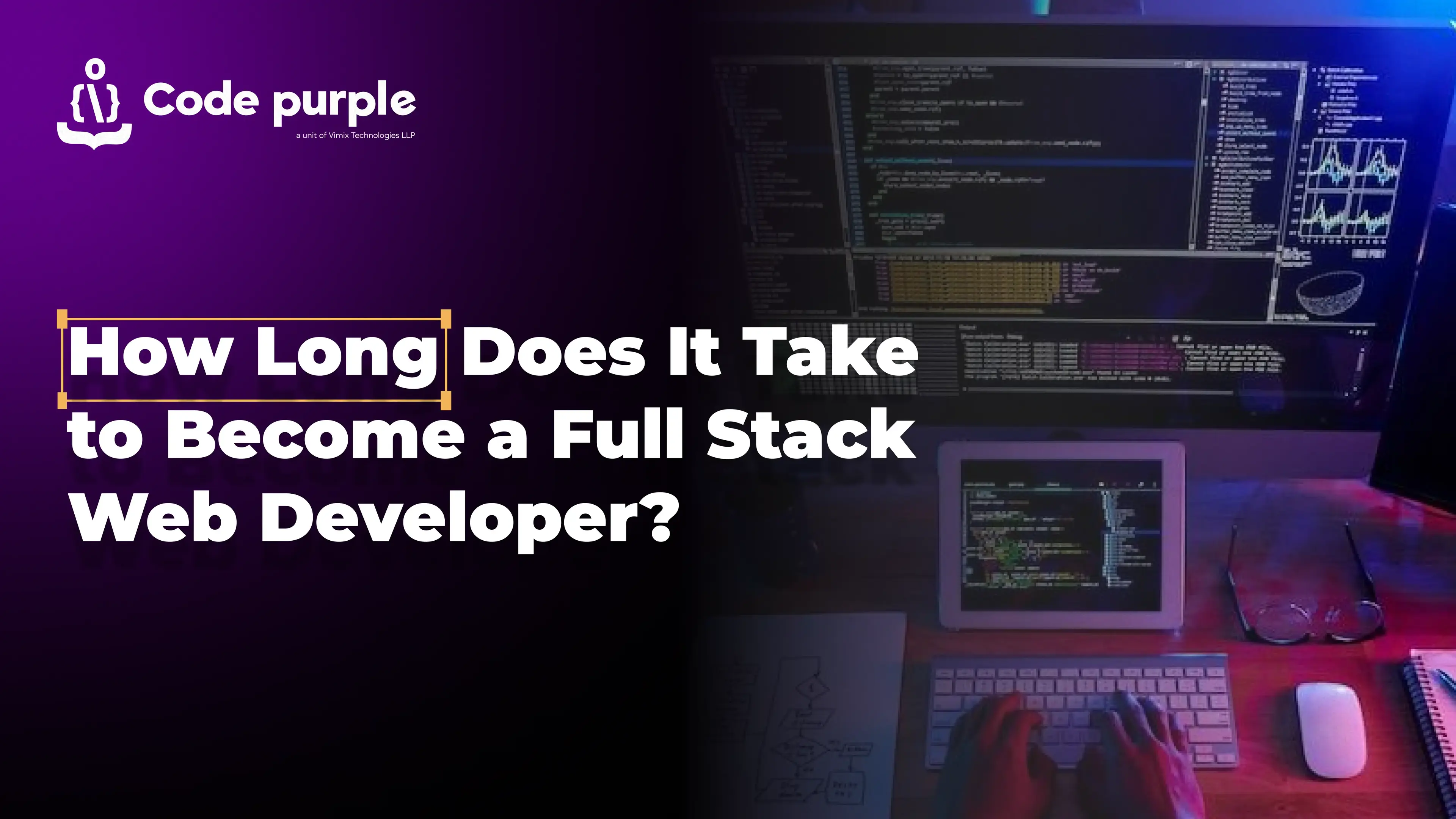 Full Stack Developers