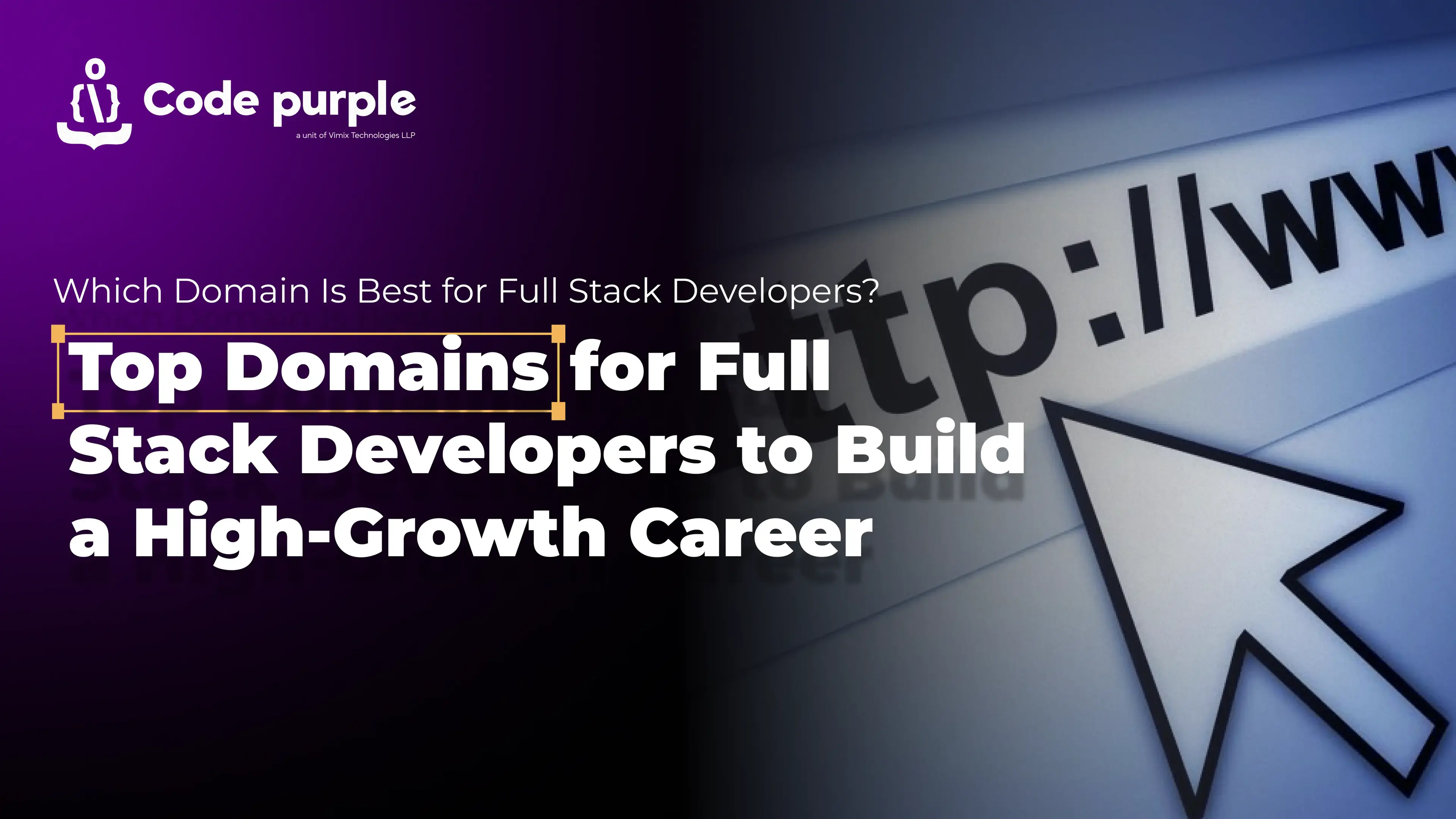 Full Stack Developers